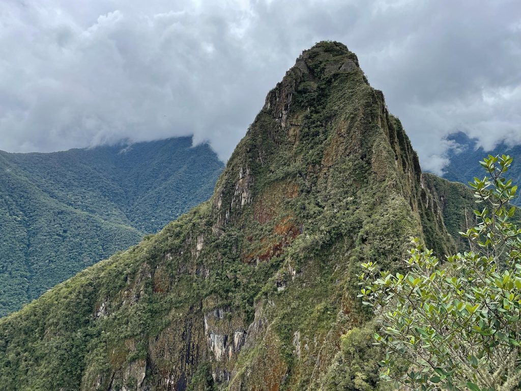Descubre la Magia de los Tours con Llamas en Machu Picchu